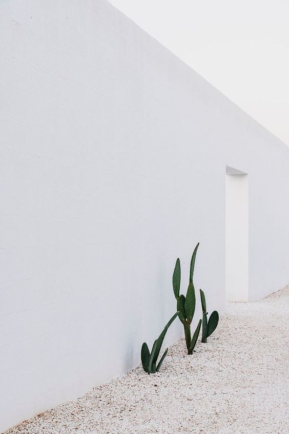 A cosy white mood