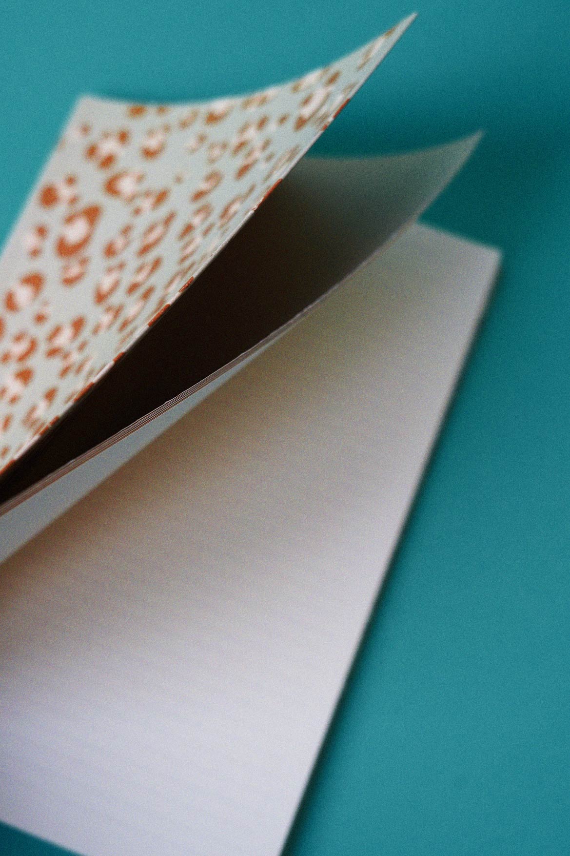 Journal Sauvage